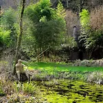 L'yeuse - Teritoria Châteaubernard