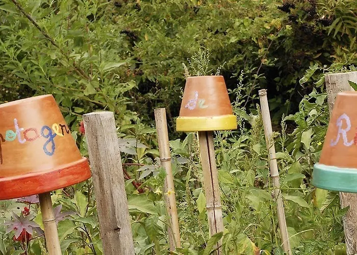 L'yeuse - Teritoria 4* Châteaubernard